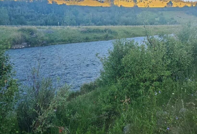 חדר סטנדרט, Dream Drift Motel