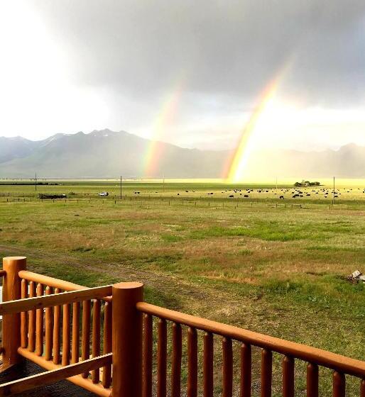 חדר סופריור, Dream Drift Motel