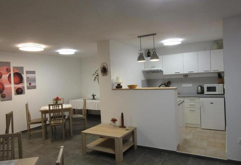 غرفة قياسية, Vila Rybníček