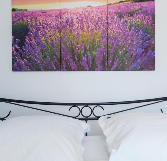 스탠다드 룸 풀장 전망, Etoilevacances Chambres D Hotes Campagne En Lavande