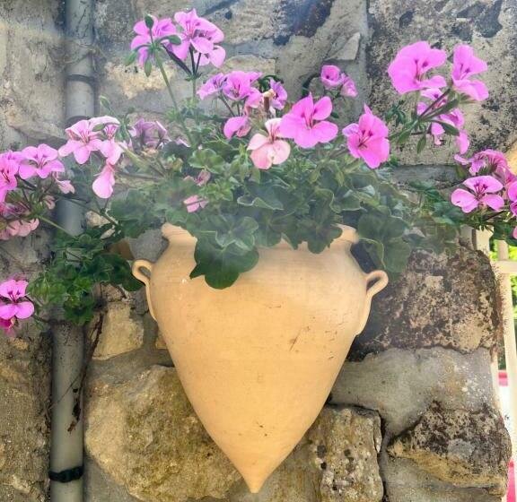 סטודיו משפחתי, Le Mas De Retheuil