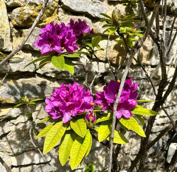 סטודיו משפחתי, Le Mas De Retheuil