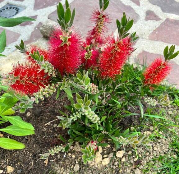 חדר סטנדרט נוף לגינה, Le Mas De Retheuil