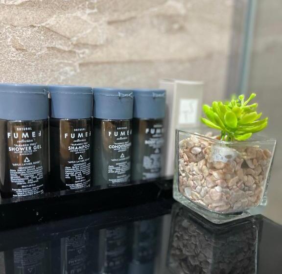 Üç Kişilik Standart Oda, Bistrik City Center