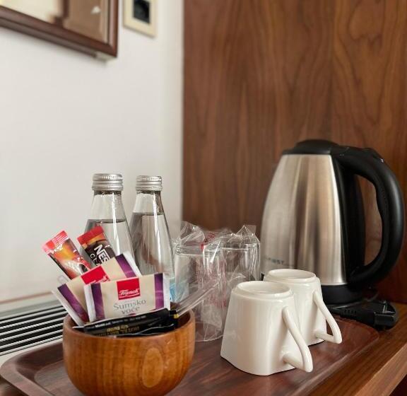 Tek Kişilik Basic Oda, Bistrik City Center