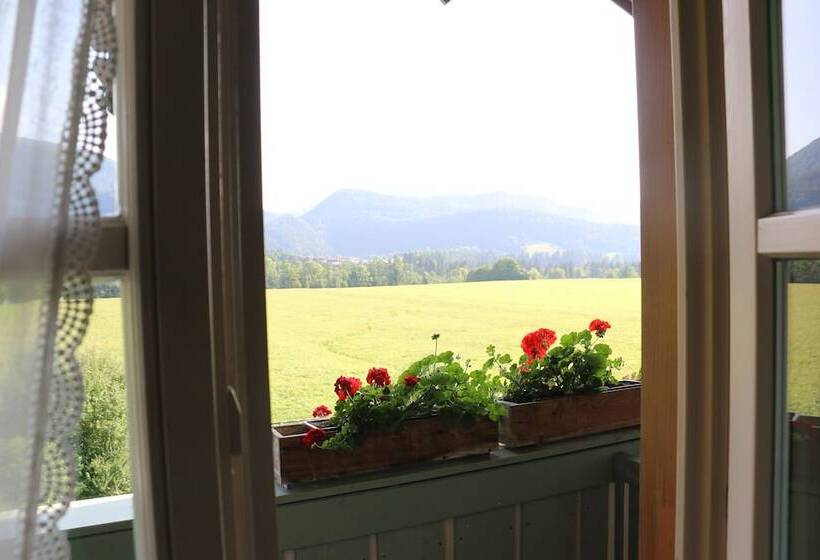 Люкс Повышенной Комфортности, Deva Villa Mittermaier