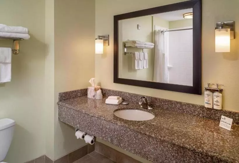 キングサイズベッドのスタンダードルーム, Holiday Inn Express & Suites Lebanon, An Ihg