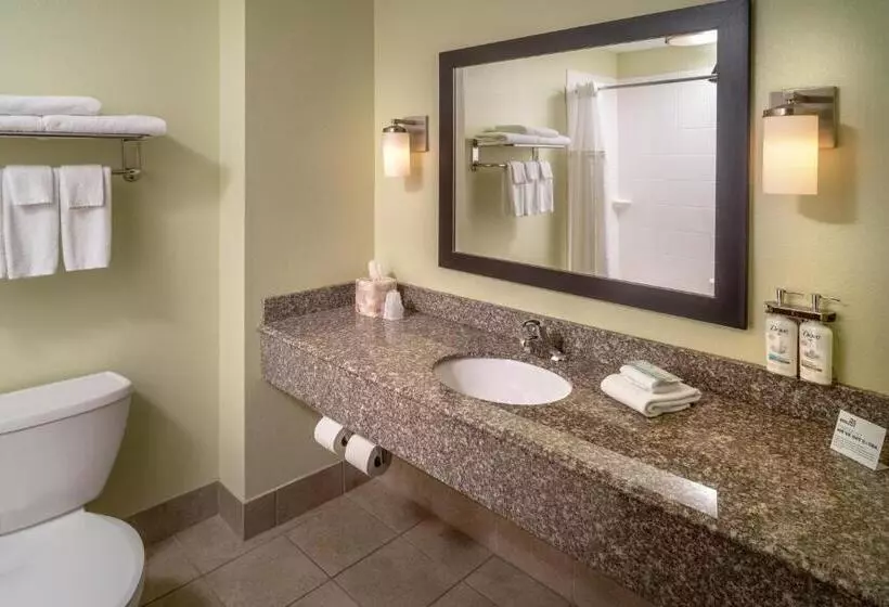 キングサイズベッドのスイートルーム, Holiday Inn Express & Suites Lebanon, An Ihg