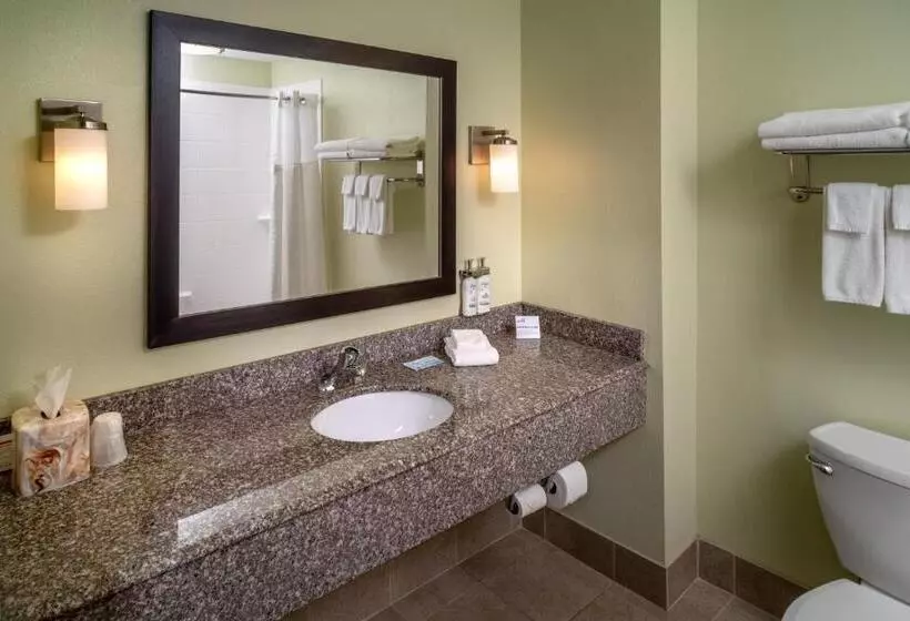 キングサイズベッドのスイートルーム, Holiday Inn Express & Suites Lebanon, An Ihg
