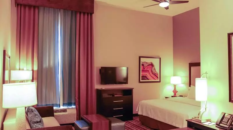 キングサイズベッドのスイートルーム, Homewood Suites By Hilton North Houston/spring