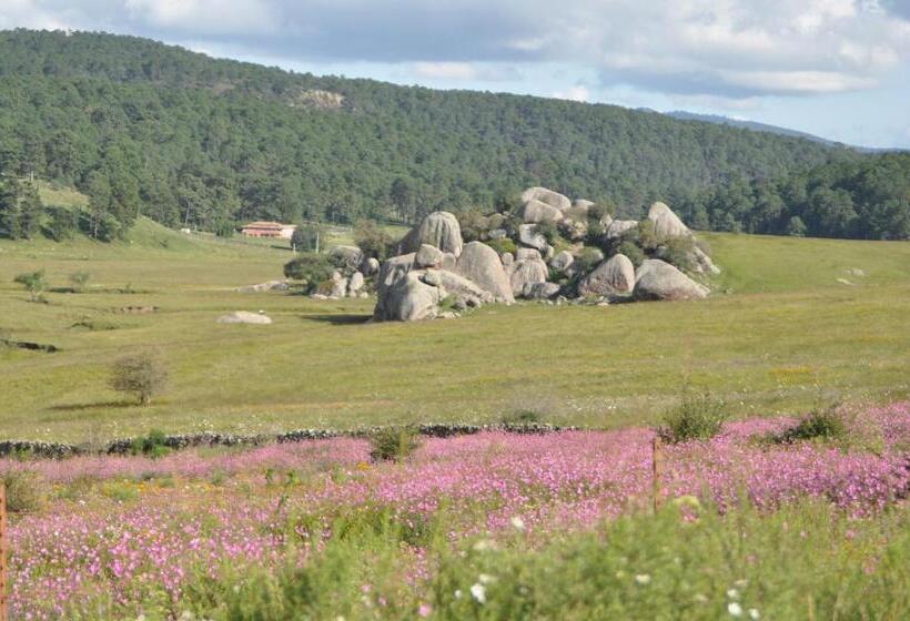 חדר סטנדרט, La Casona