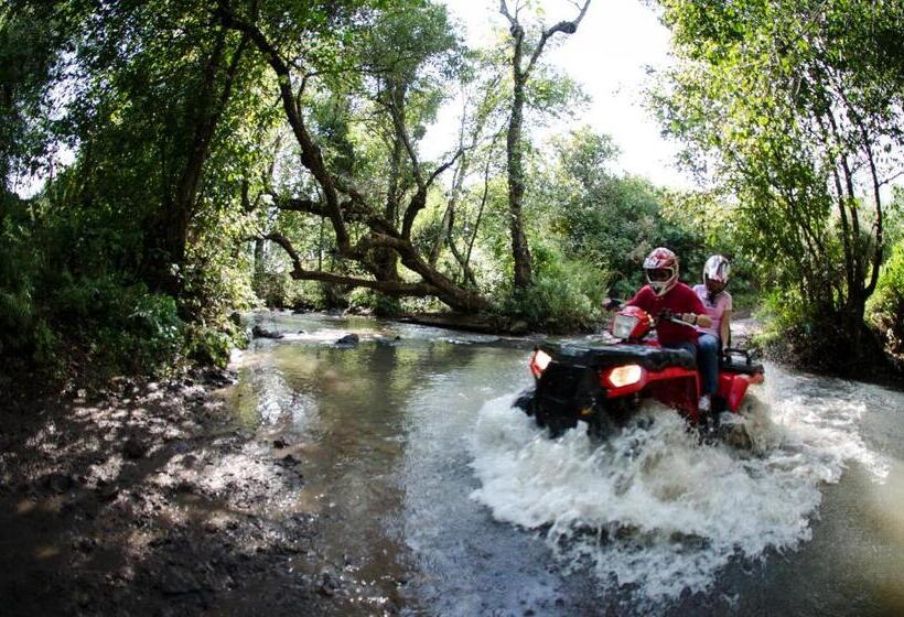חדר סופריור, La Casona