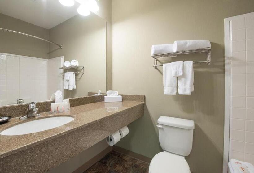 标准间, Bakken Airport Xwa Hotel & Studios