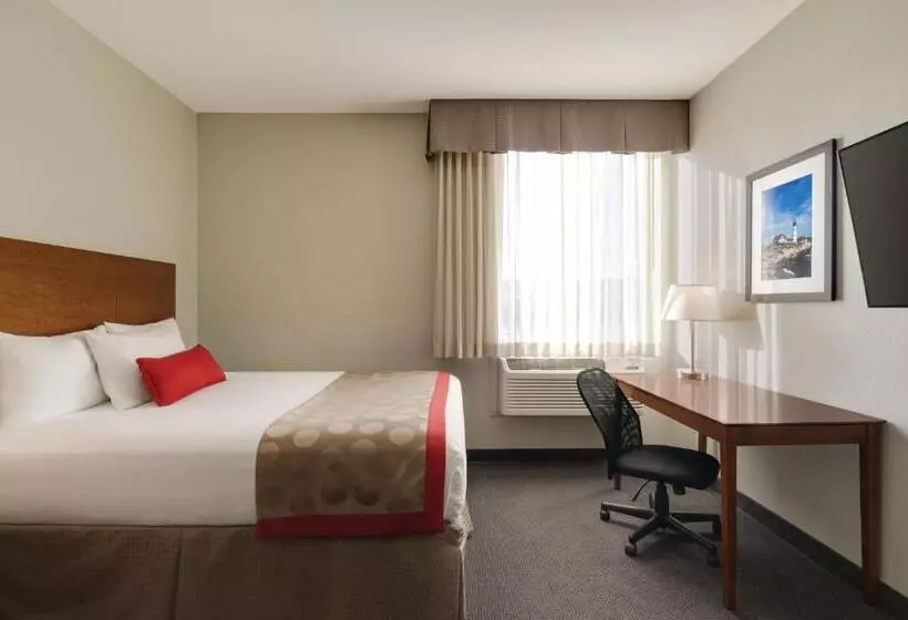 Standard Room King Size Bed