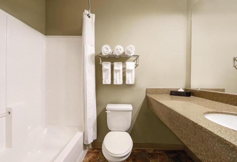 带大床的标准间, Bakken Airport Xwa Hotel & Studios