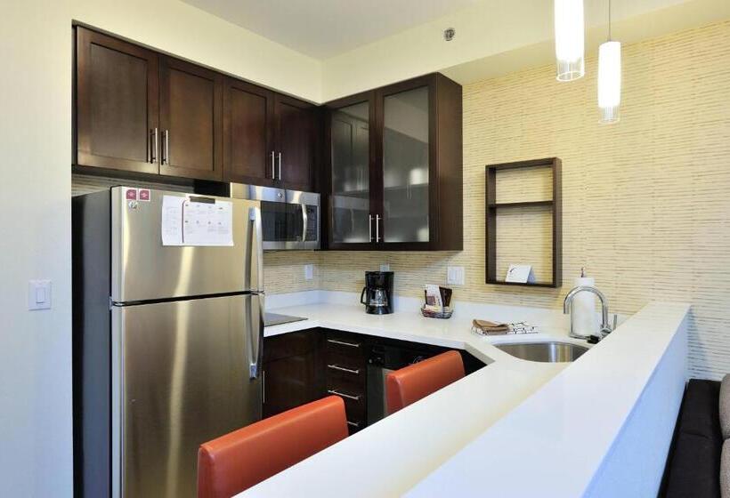 带大床的套房, Residence Inn By Marriott Houston Northwest/cypress