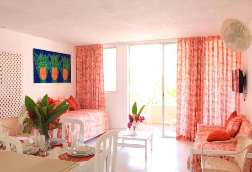 آپارتمان 1 خوابه, The Monteray