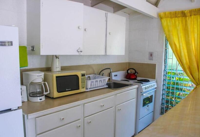 آپارتمان 2 خوابه, The Monteray