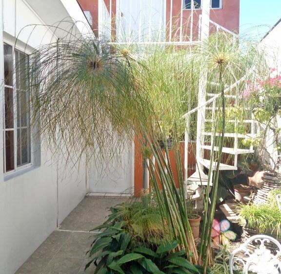 Номер Стандарт Индивидуальный, Tazumal House