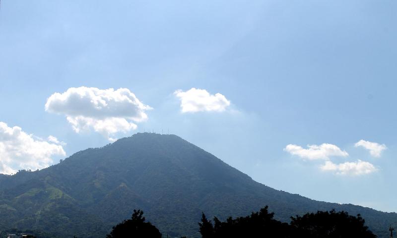 Номер Стандарт, Tazumal House