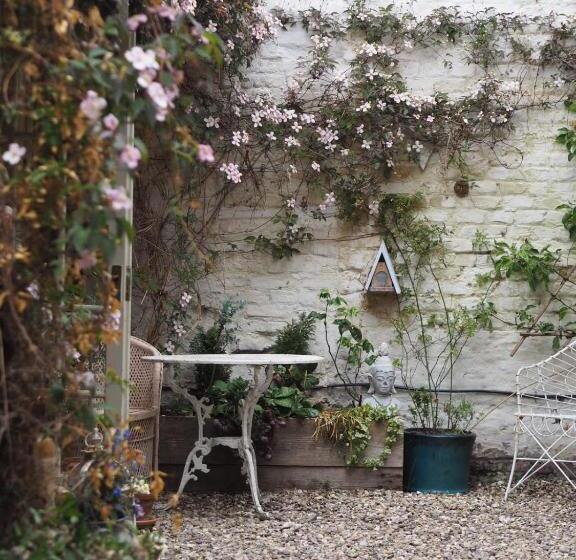 スタンダードルーム, The Shepherd S Purse