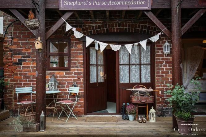 スタンダードルーム, The Shepherd S Purse