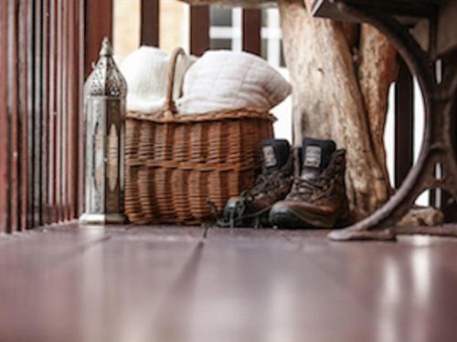 スーペリアールーム, The Shepherd S Purse