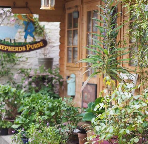 キングサイズベッドのスーペリアルーム, The Shepherd S Purse