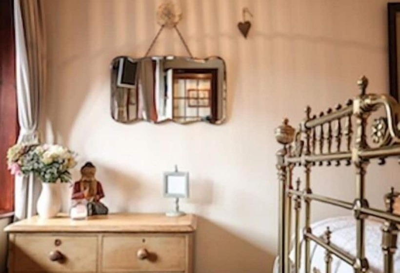 スーペリアールーム, The Shepherd S Purse