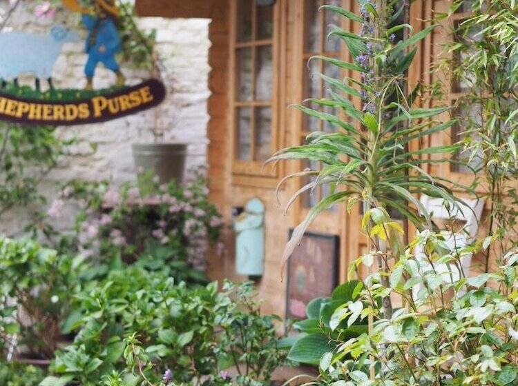 スーペリアールーム, The Shepherd S Purse