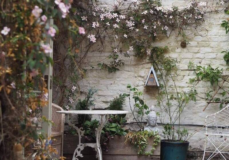 スーペリアールーム, The Shepherd S Purse