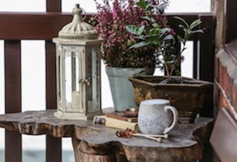 スーペリアールーム, The Shepherd S Purse