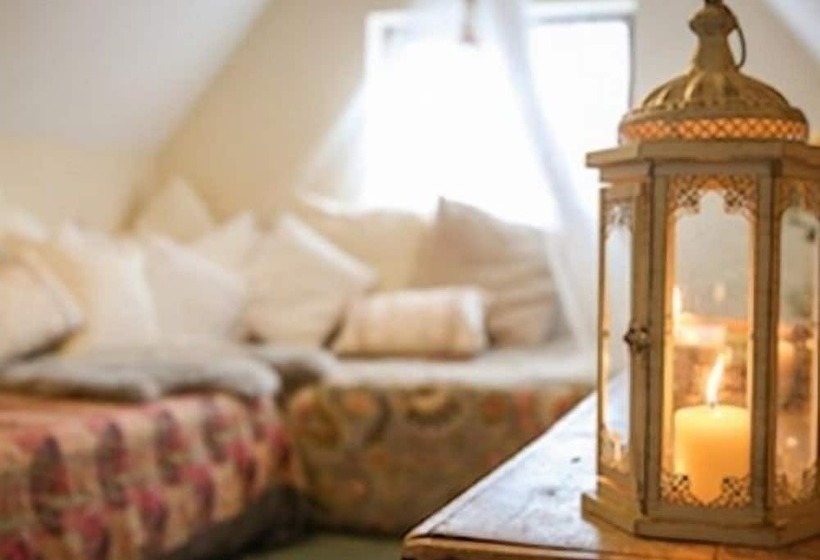 デラックススイート, The Shepherd S Purse