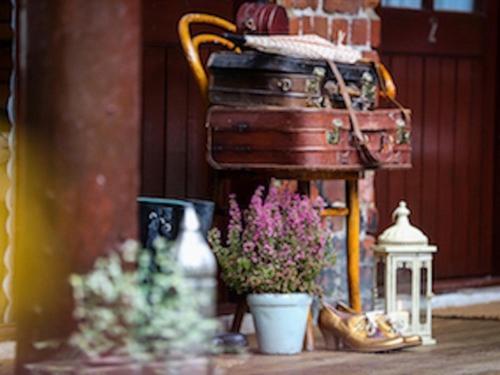 スタンダードルーム, The Shepherd S Purse