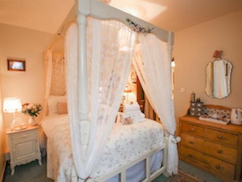 スタンダードルーム, The Shepherd S Purse