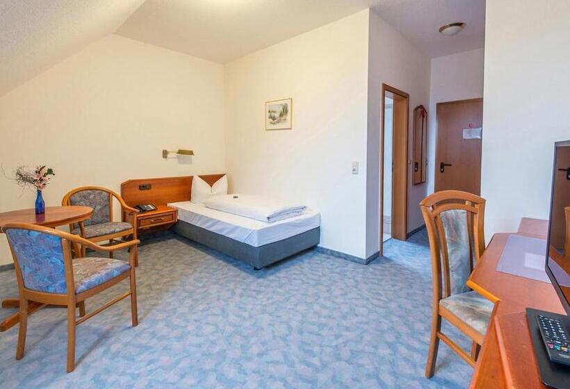 Номер Стандарт Индивидуальный, Prisma Hotel Rhönblick