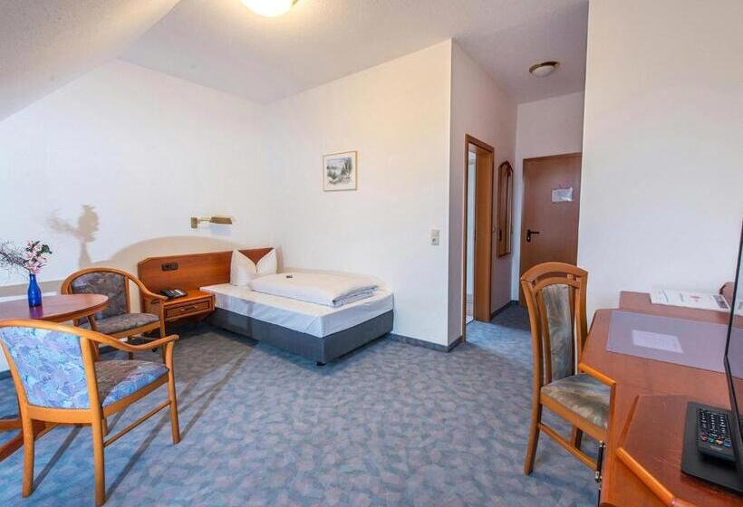 Номер Стандарт Индивидуальный, Prisma Hotel Rhönblick