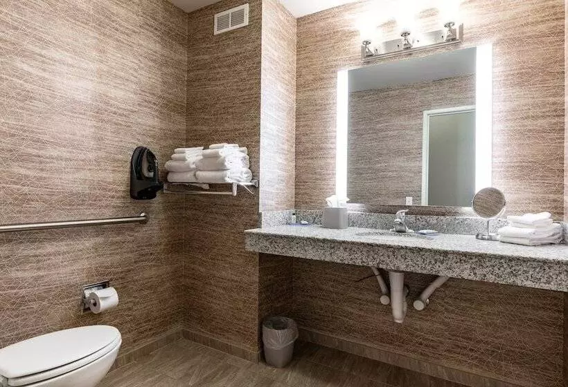 身障者適用スタンダードルーム, Holiday Inn Express & Suites Ironton, An Ihg