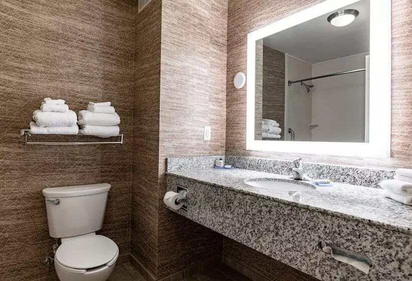 身障者適用スイートルーム, Holiday Inn Express & Suites Ironton, An Ihg