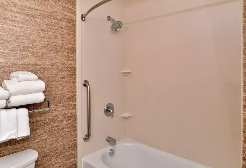 身障者適用スイートルーム, Holiday Inn Express & Suites Ironton, An Ihg