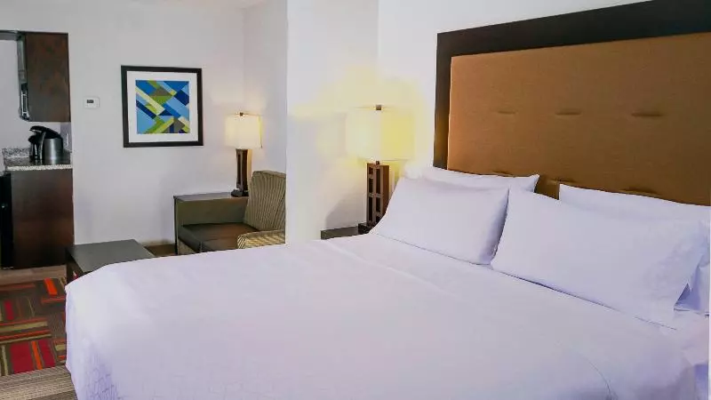 キングサイズベッドのスイートルーム, Holiday Inn Express & Suites Ironton, An Ihg
