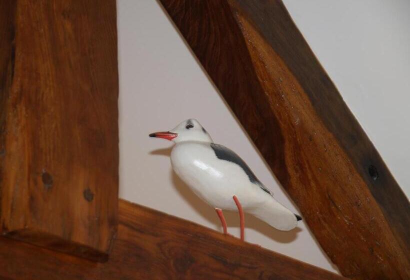 家庭海景房, De Calais