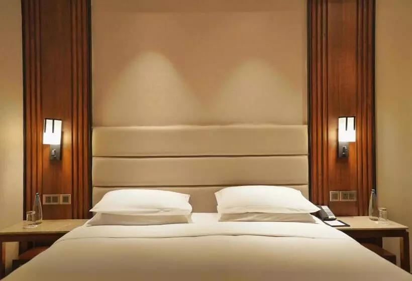 デラックススイート, Hyatt Centric Rajpur Road Dehradun