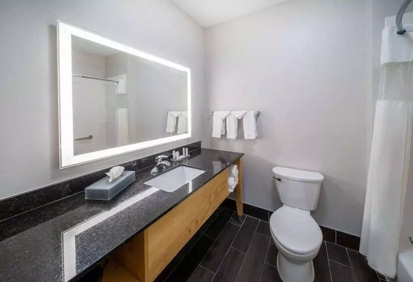デラックススタジオ, La Quinta By Wyndham Wichita Falls   Msu Area