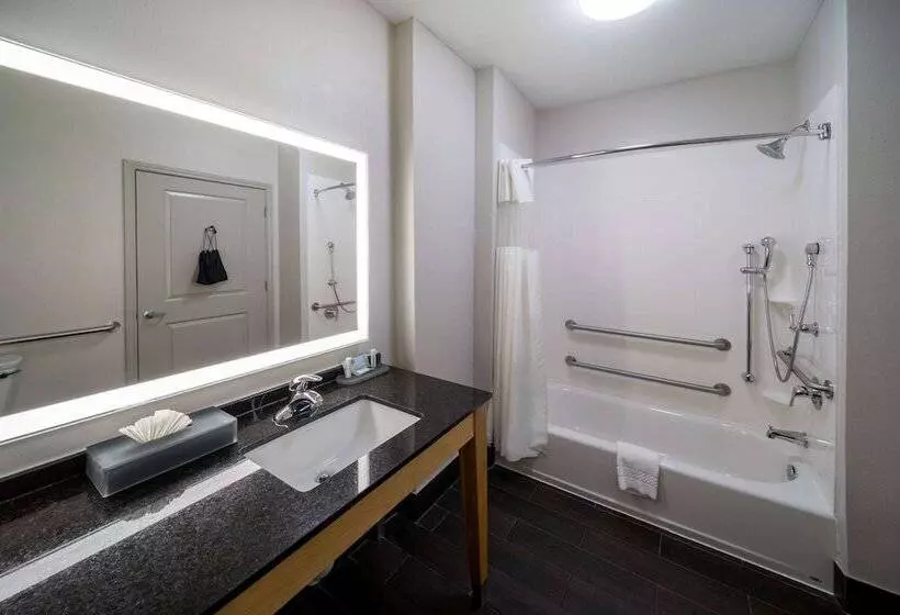 障害者適応デラックスルーム, La Quinta By Wyndham Wichita Falls   Msu Area