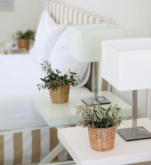 Номер Economy, Skyros Ammos