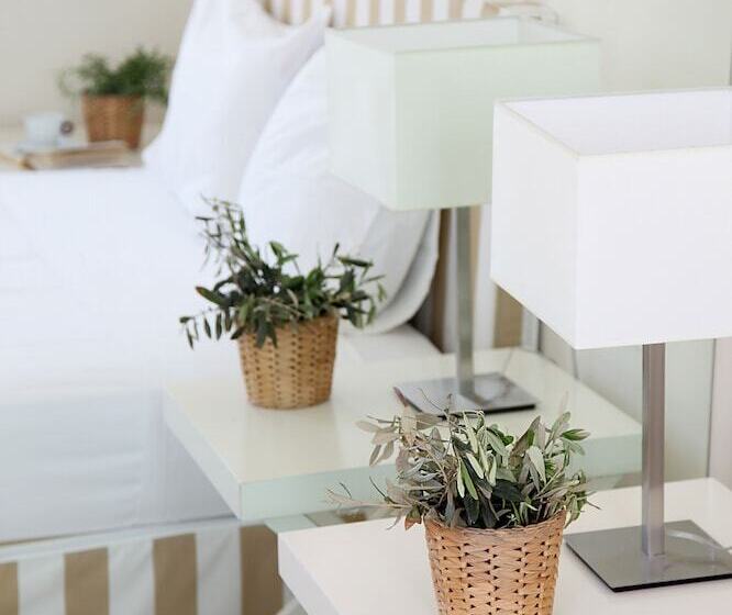 Номер Economy, Skyros Ammos