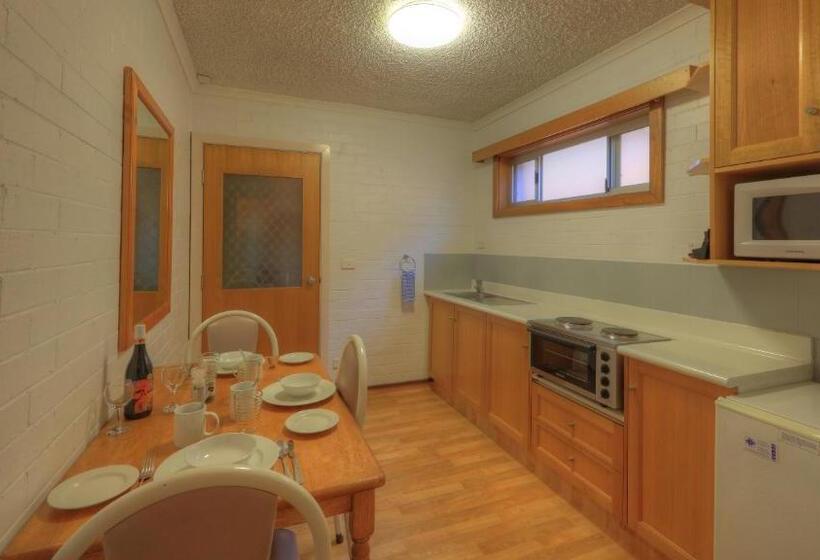 דירת חדר, Cousins Motor Inn