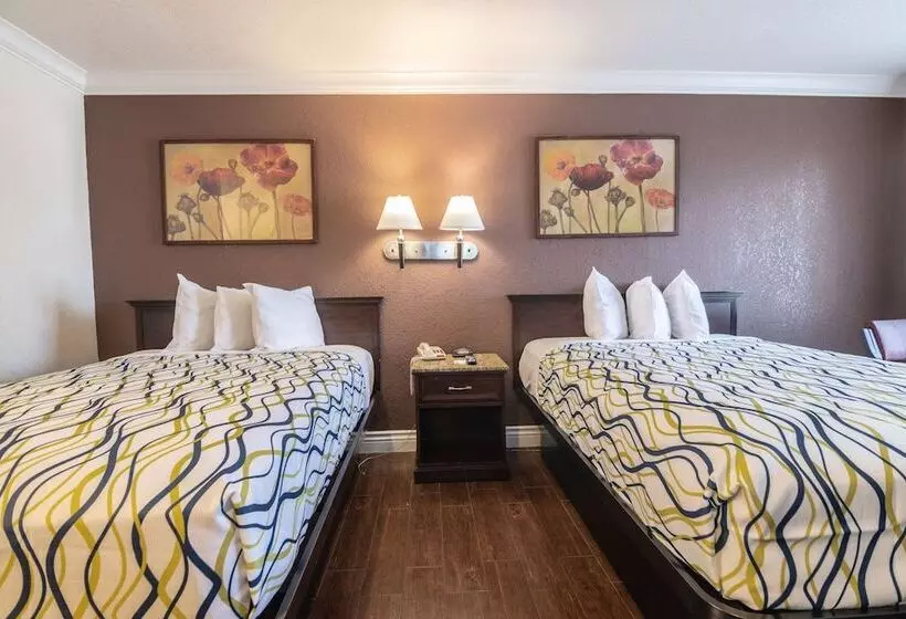 ２ダブルベッドのスタンダードルーム, Regency Inn Tulsa