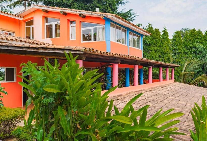 استودیوی سوپریور, Aparthotel Jardin Tropical